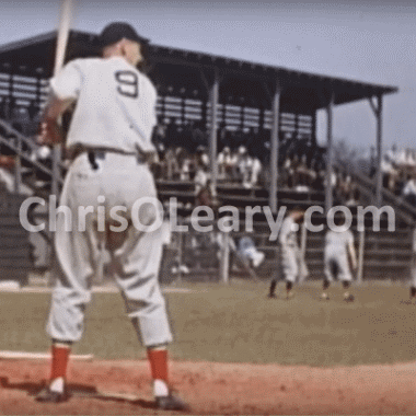 Ted Williams Swing