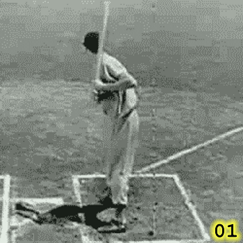 Ted Williams Swing