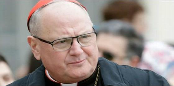 Cardinal Timothy Dolan